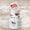 U.S. Flag Forever Stamps Bulk Pack – 50,000 Stamps / 500 Rolls – Multiple Years Available