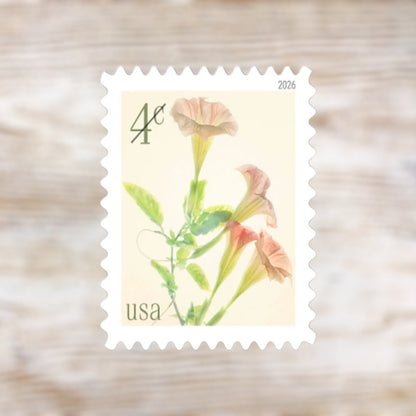 Angel's Trumpets 2026 4¢ Postage Stamps Self-Adhesive Sheet for Additional Postage