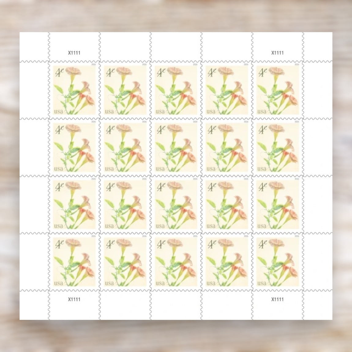 Angel's Trumpets 2026 4¢ Postage Stamps Self-Adhesive Sheet for Additional Postage