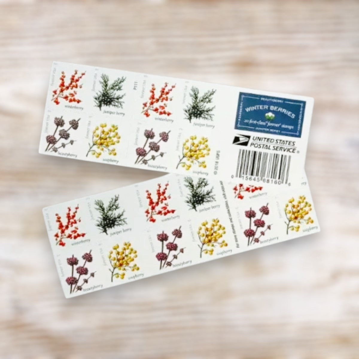 Winter Berries 2019 Forever Postage Stamps Adhesive Booklet for Holiday Celebration