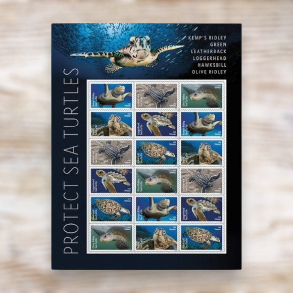 Protect Sea Turtles 2024 Forever Postage Stamps Adhesive Sheet for Commemorative Mailing