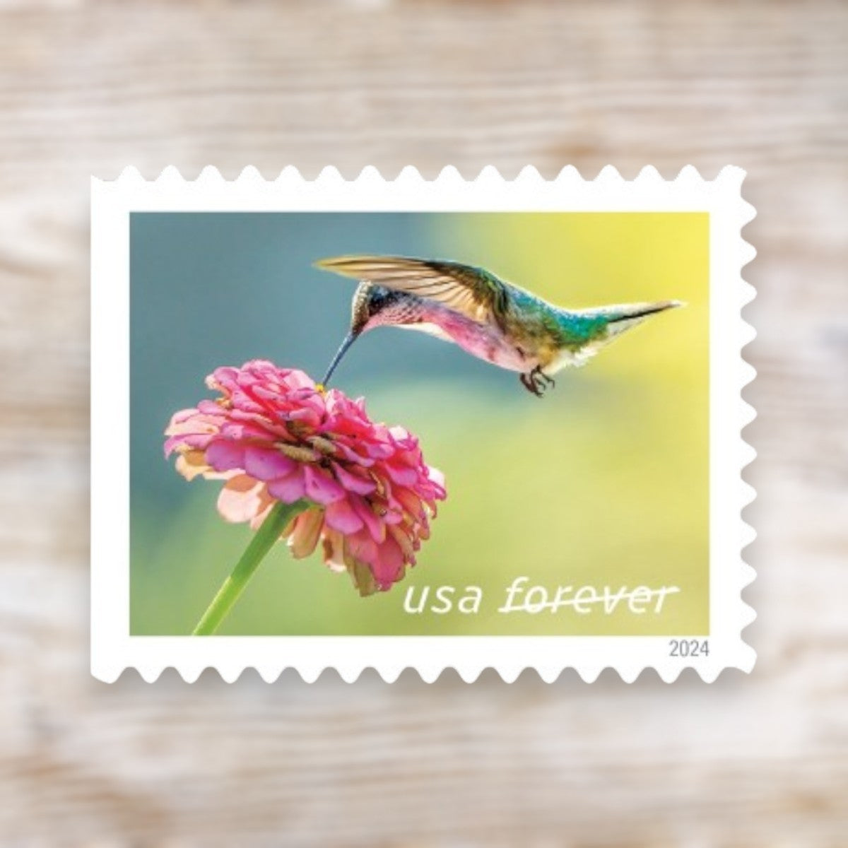 Garden Delights 2024 Forever Postage Stamps Adhesive Booklet for Everyday Mailing