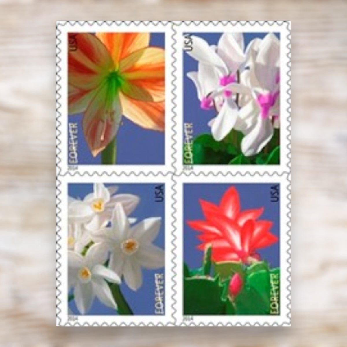 Winter Flowers 2013 Forever Postage Stamps Adhesive Booklet for Holiday Cards