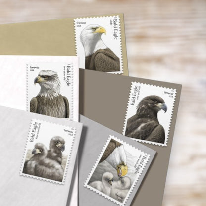 Bald Eagle: Hatchling to Adult 2026 Forever Postage Stamps Self-Adhesive Sheet for Patriotic Mail
