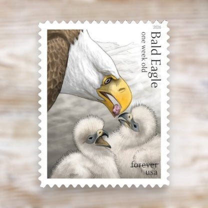 Bald Eagle: Hatchling to Adult 2026 Forever Postage Stamps Self-Adhesive Sheet for Patriotic Mail