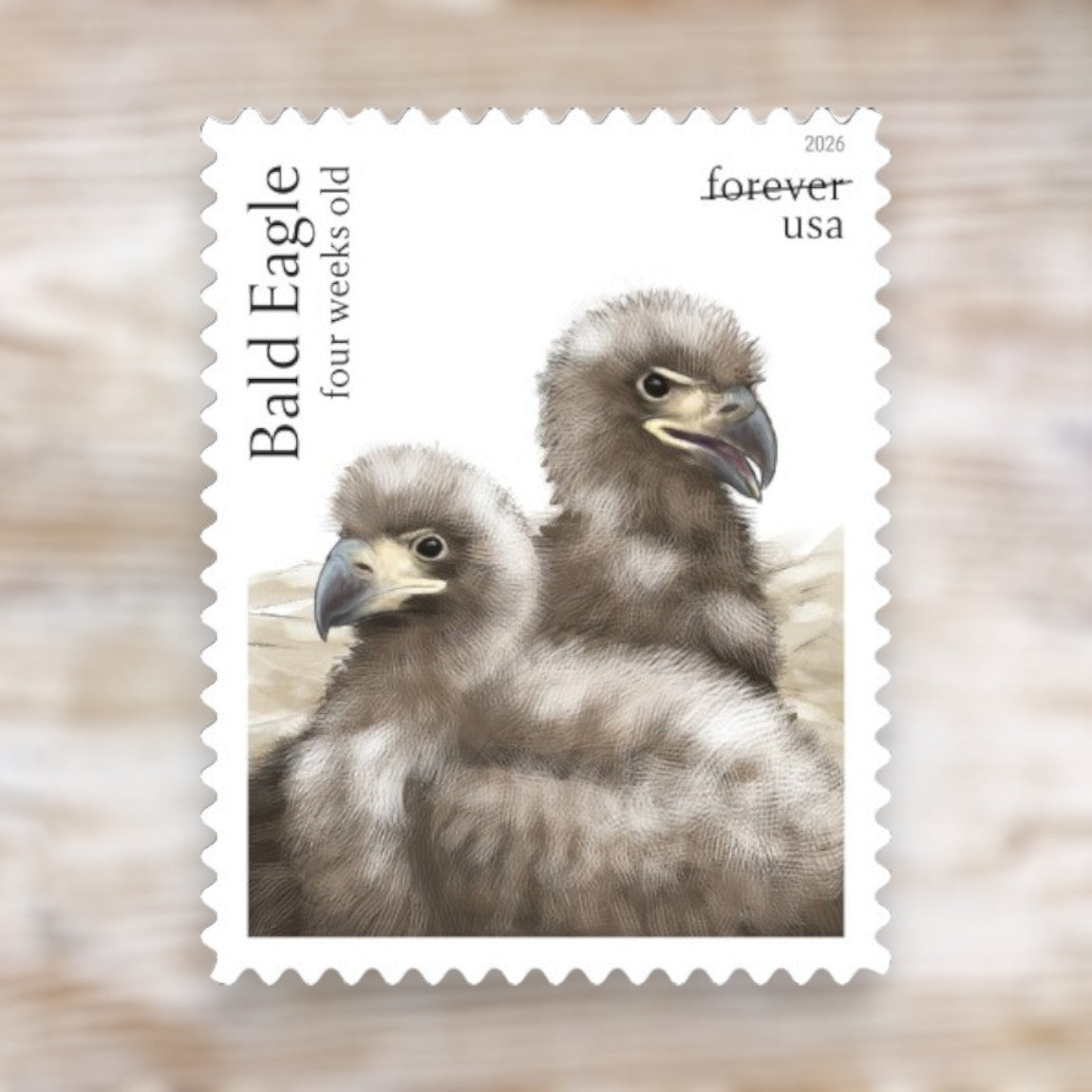 Bald Eagle: Hatchling to Adult 2026 Forever Postage Stamps Self-Adhesive Sheet for Patriotic Mail